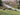 Donkeys grazing on Irish countryside hillside near rural road, natural landscape
