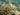 Underwater coral reef with textured polyps in natural ocean light