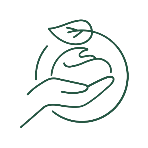 Minimalist green line art of natural skincare ingredients, evoking Irish botanicals and pH-balanced formulas