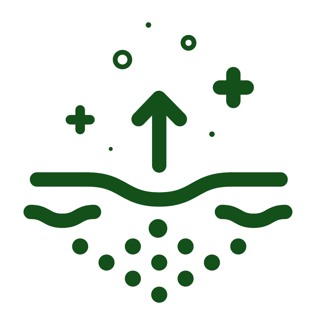 Green icon showing upward arrow, plus signs, and dots over wavy lines, symbolizing natural skincare benefits.