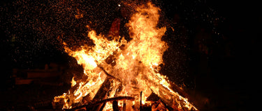 A Feast of the Senses: Unveiling Samhain's Ancient Irish Origins - AINMHÍ