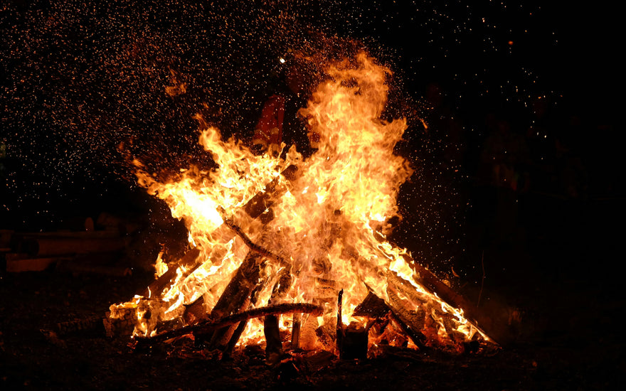 A Feast of the Senses: Unveiling Samhain's Ancient Irish Origins - AINMHÍ