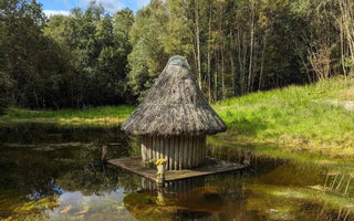 Éiru’s Resting Place - AINMHÍ